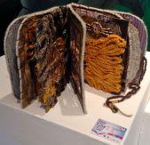 Piza-Tandlich-Hypotyposis